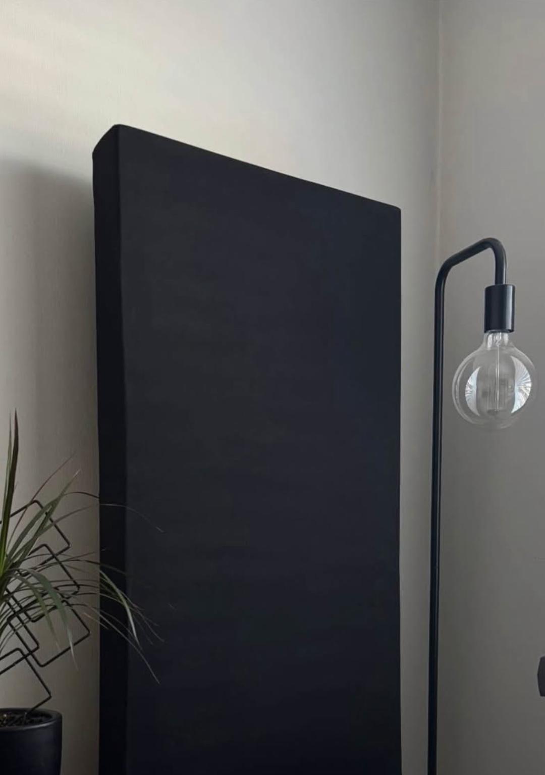 Black acoustic panel in a lounge corner beside a floor lamp and plant